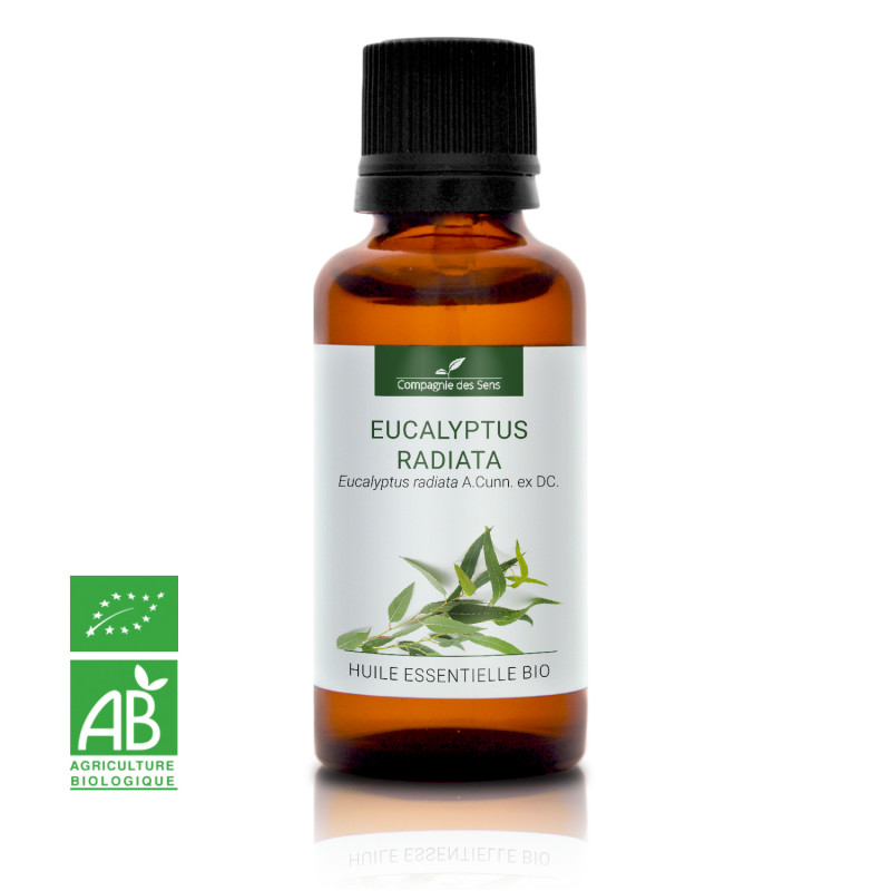 EURA-0321-02-Eucalyptus radiata 10 ml