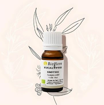 HEEUSM10-02 - Eucalyptus Smithii 10 ml