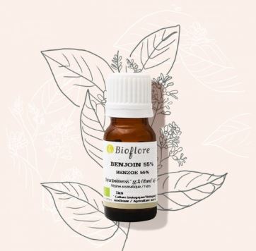 HESTBEB10-02 - HE Benjoin 10 ml