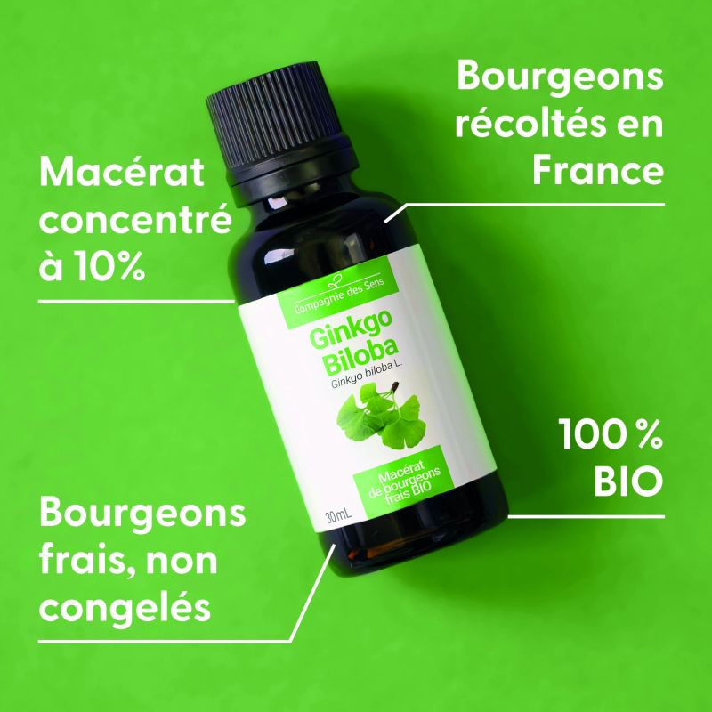 ginkgo-biloba-macerat-de-bourgeons-bio (1)