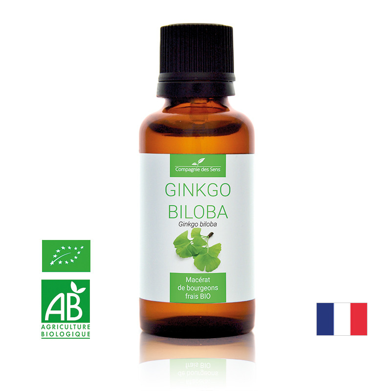 ginkgo-biloba-macerat-de-bourgeons-bio
