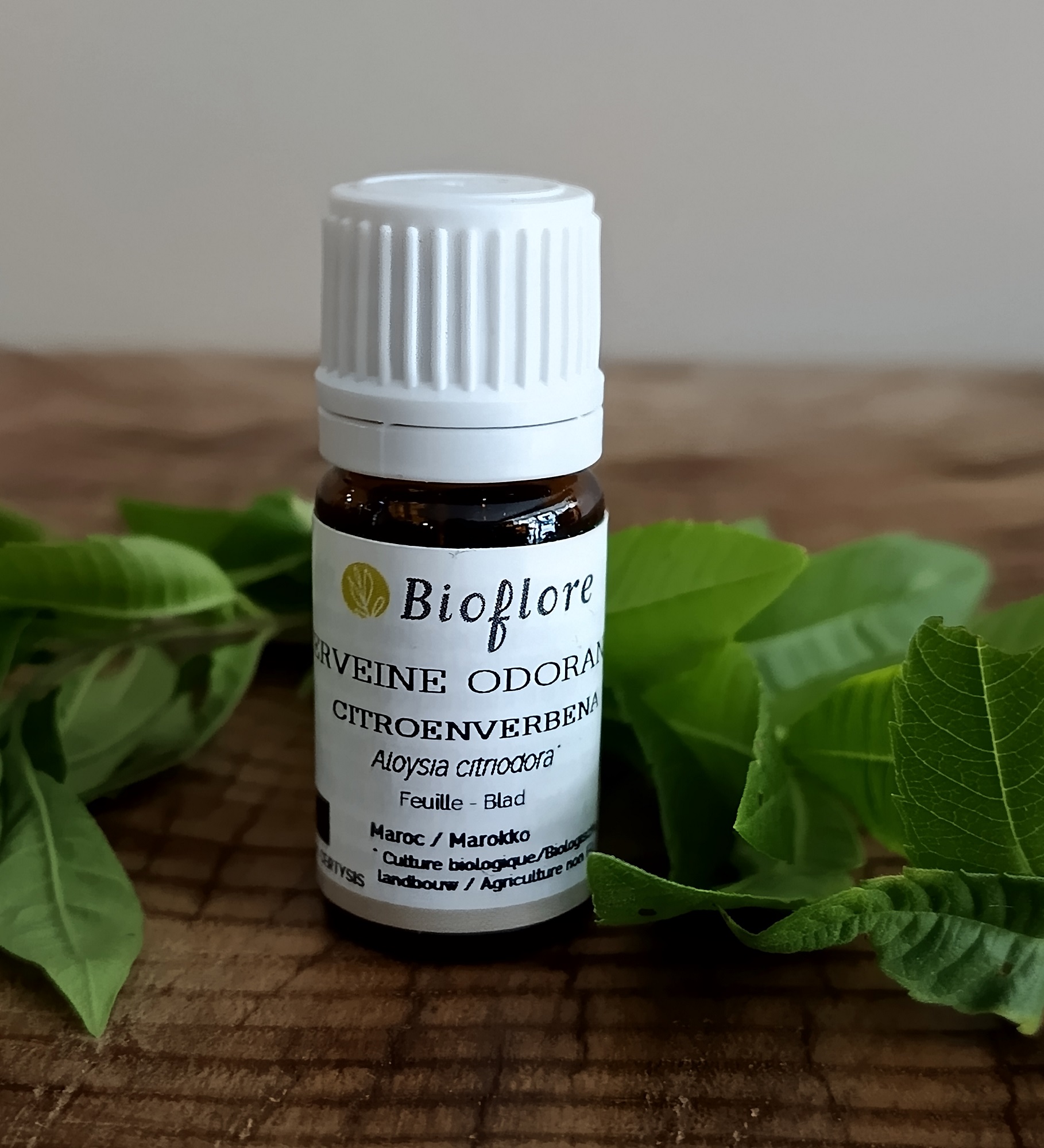 HELICIB2-04 - HE Verveine Odorante 2.5 ml