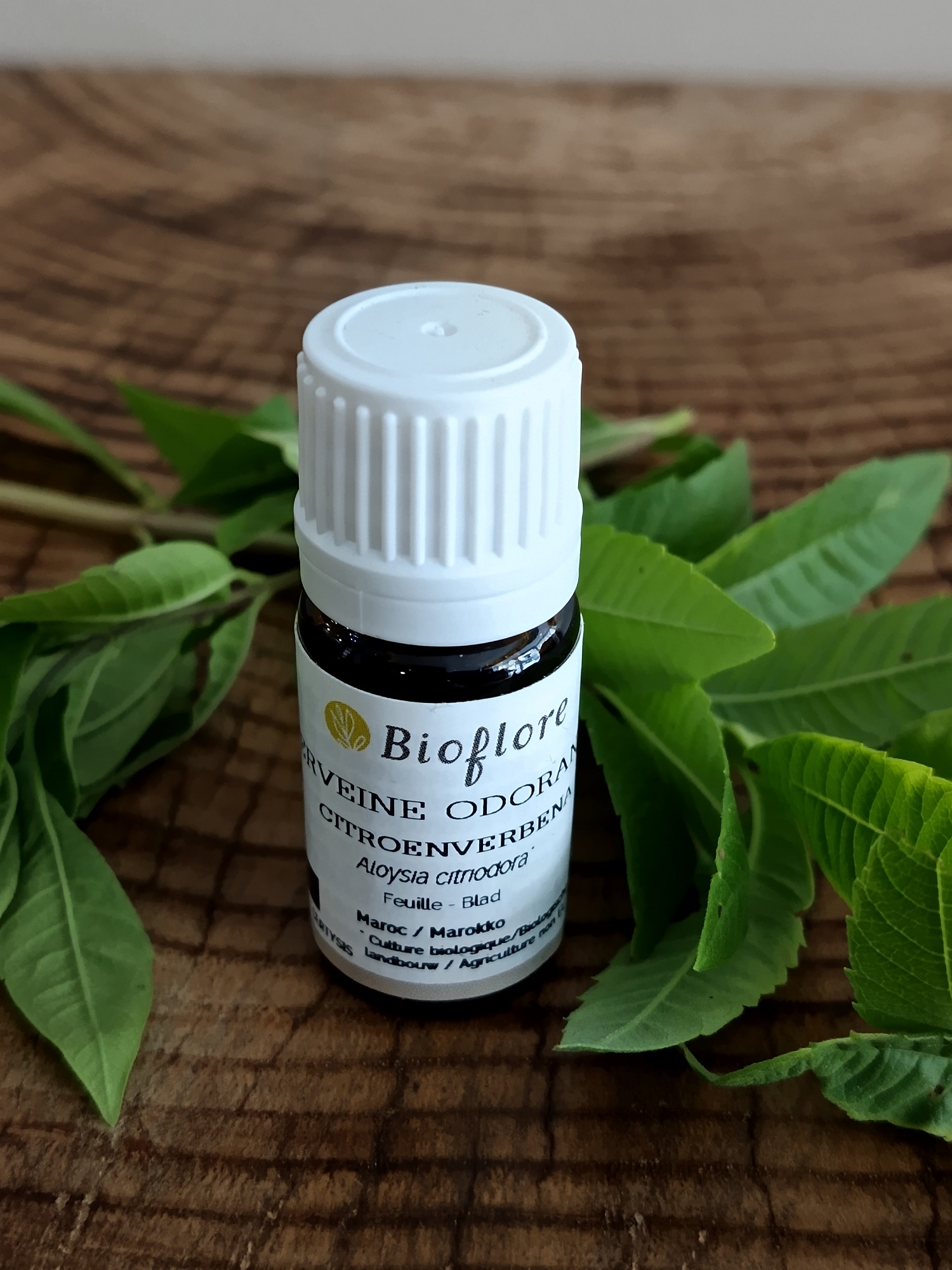 HELICIB2-05 - HE Verveine Odorante 2.5 ml