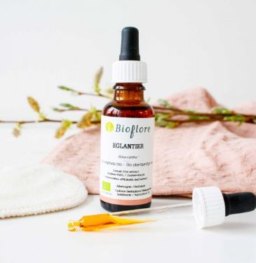HVROCSB30-02 - HV Eglantier CO2 30 ml