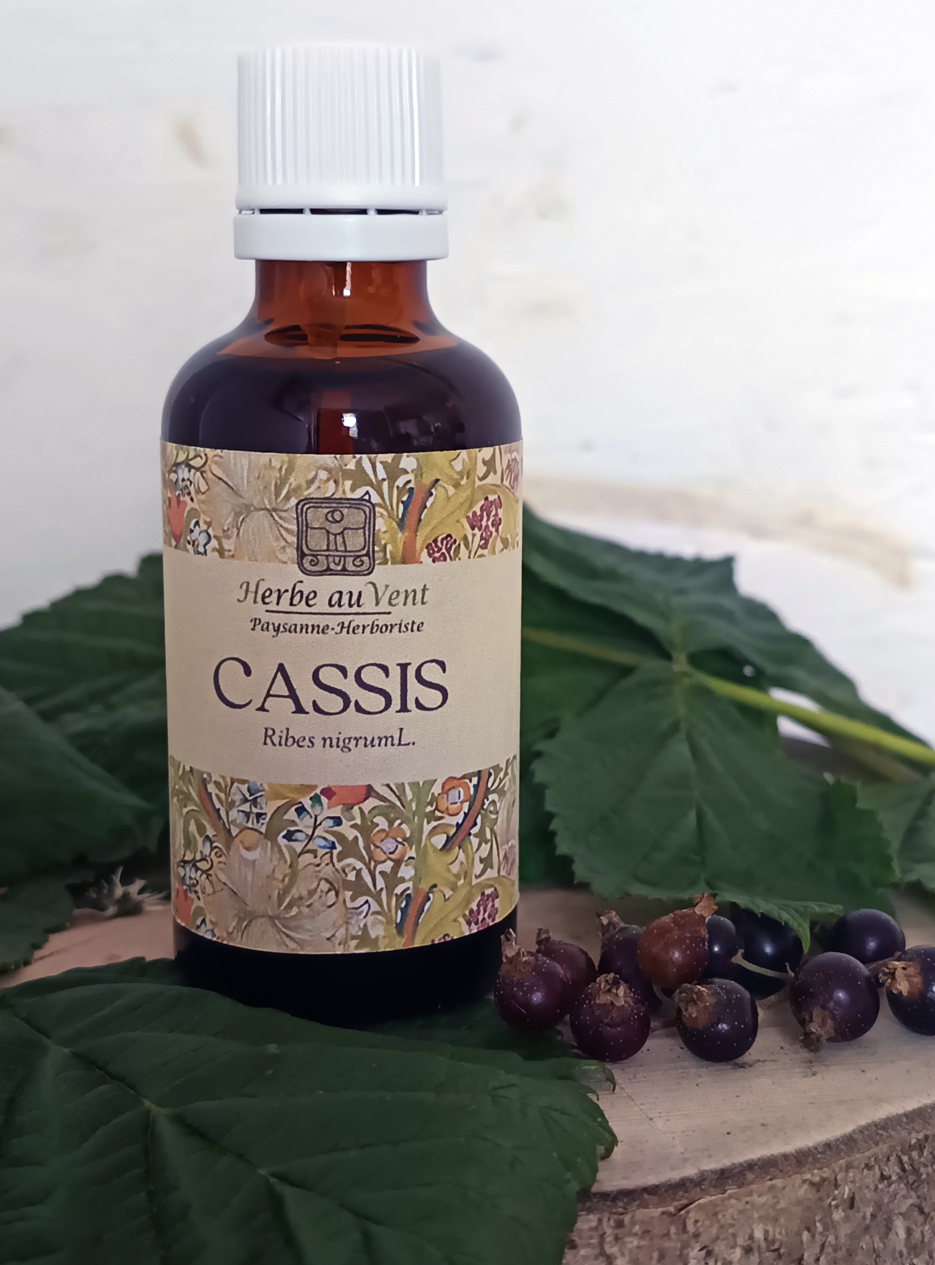 TMS21 - Teinture mère de Cassis