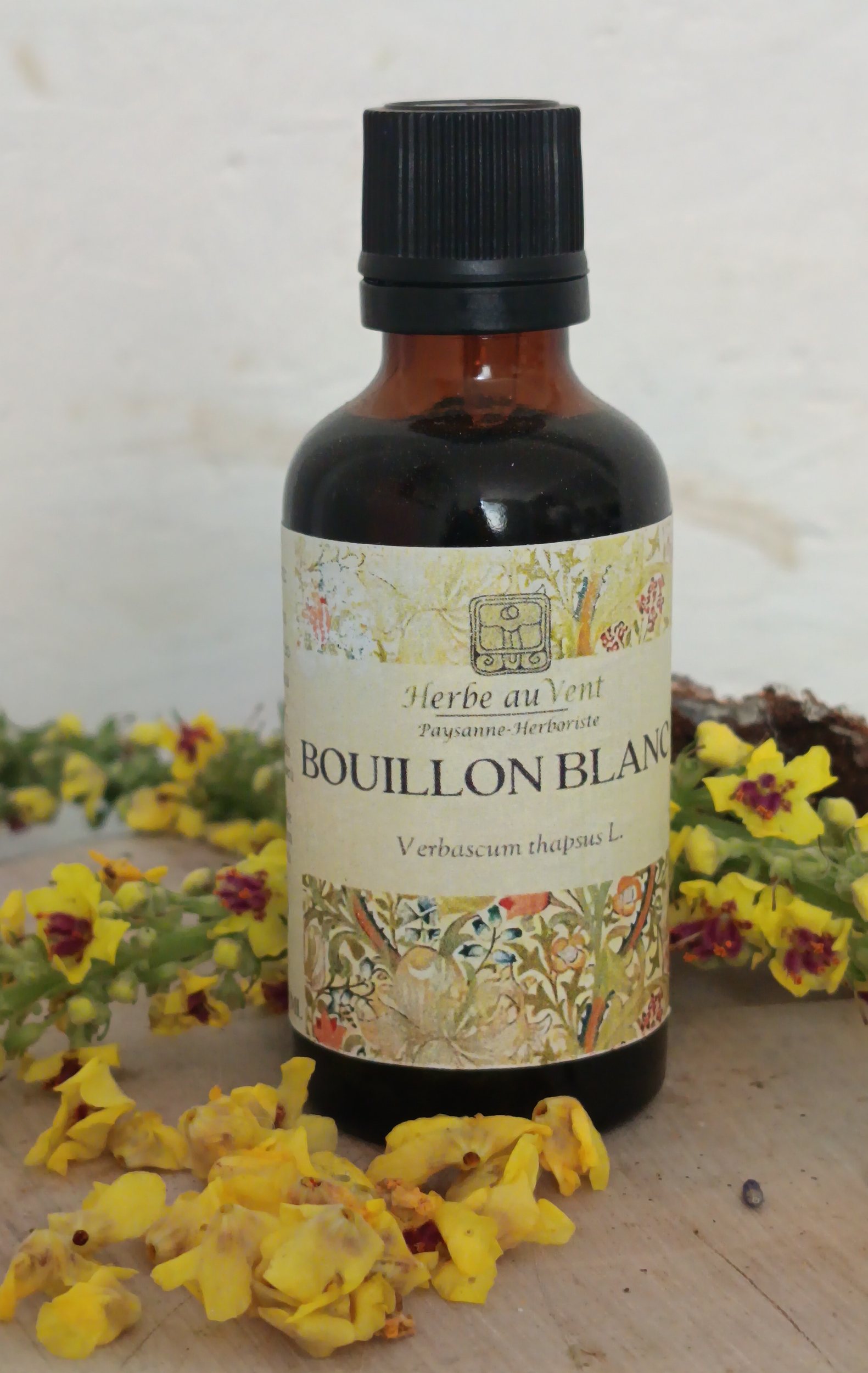 TMS15-01 - Teinture mère de Bouillon Blanc