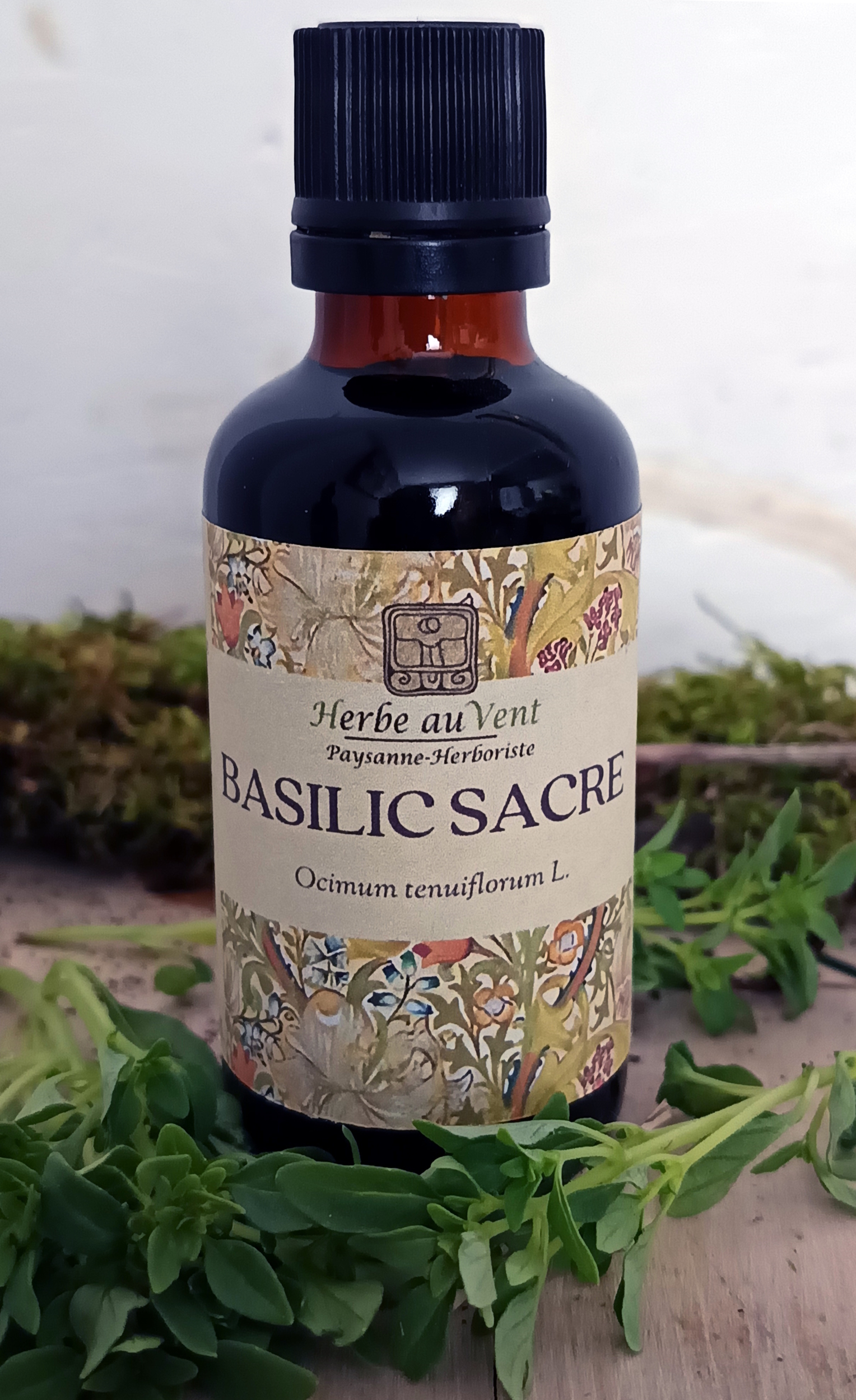 TMS14-01- Teinture mère de Basilic Sacré