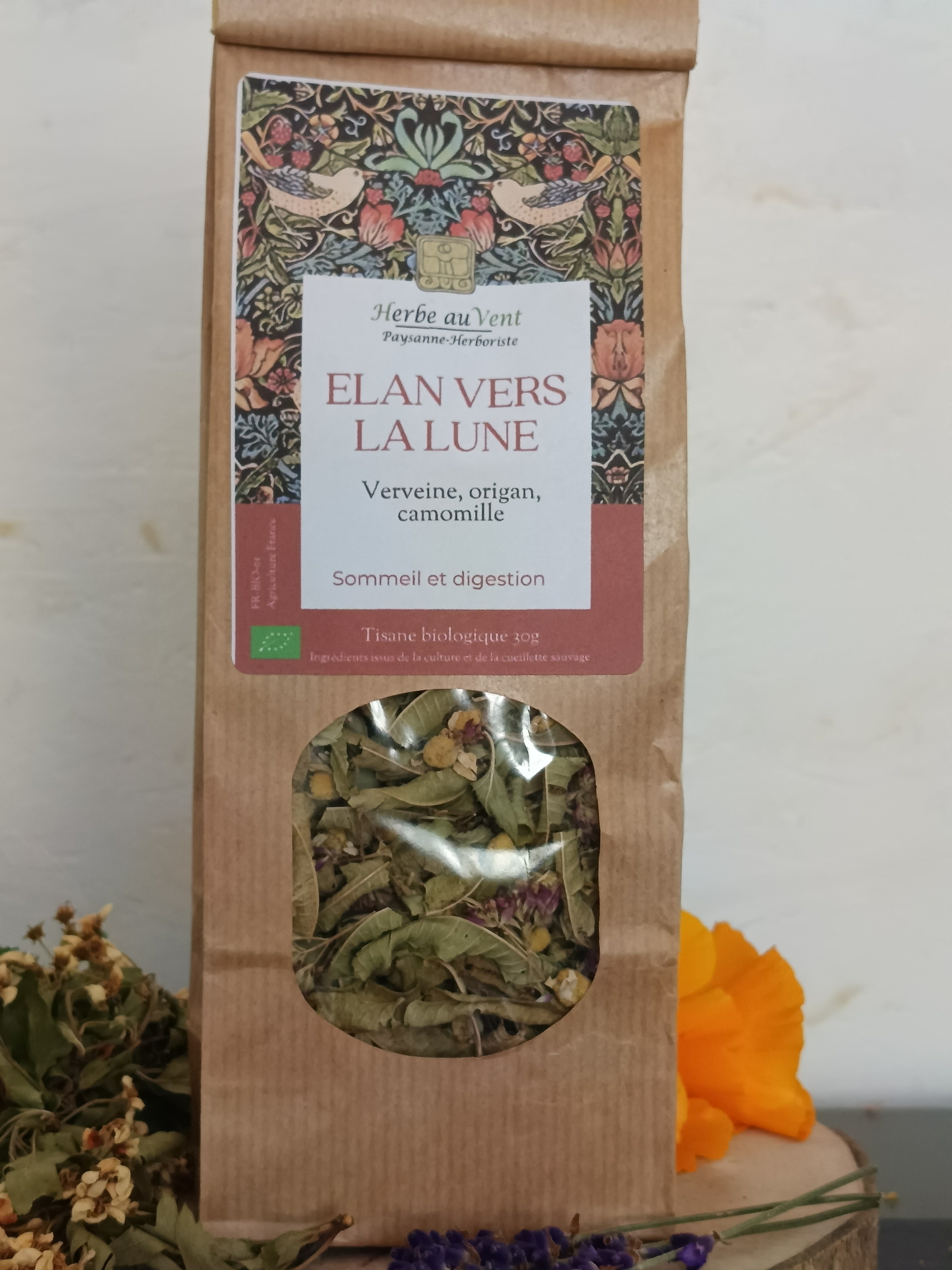 TC1-01 - Infusion Elan vers la Lune