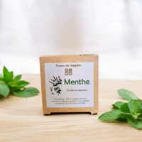 INF13-04 - Tisane Menthe verte en infusette