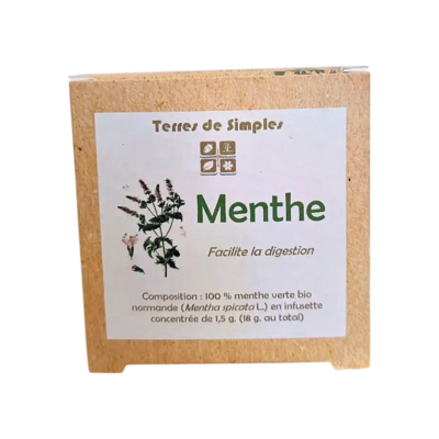 INF13 - Tisane Menthe verte en infusette