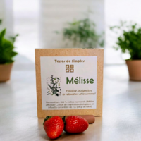 INF12-04 - Tisane Mélisse Officinale en infusette