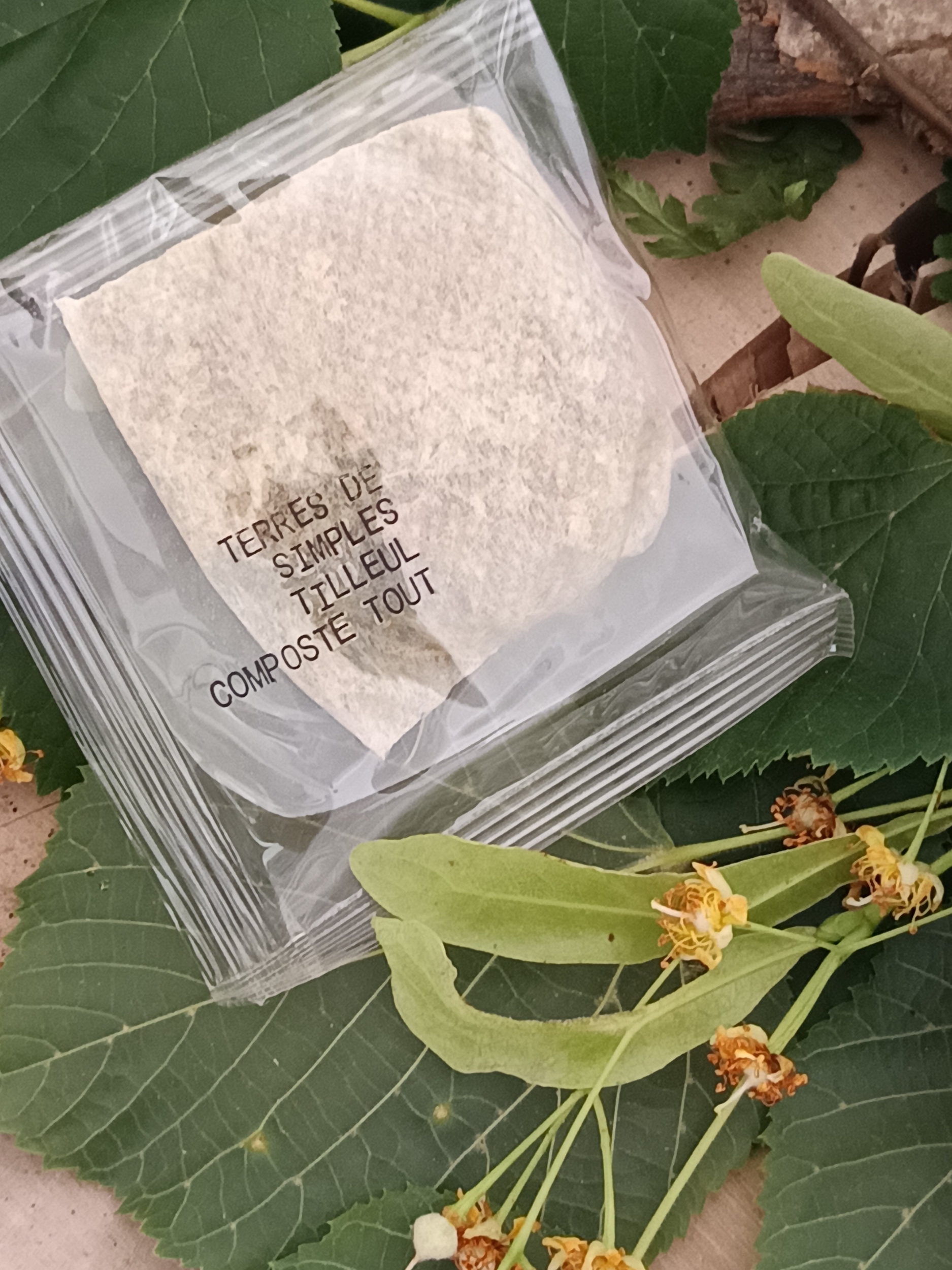 INF19-03 - Tisane Tilleul en infusette