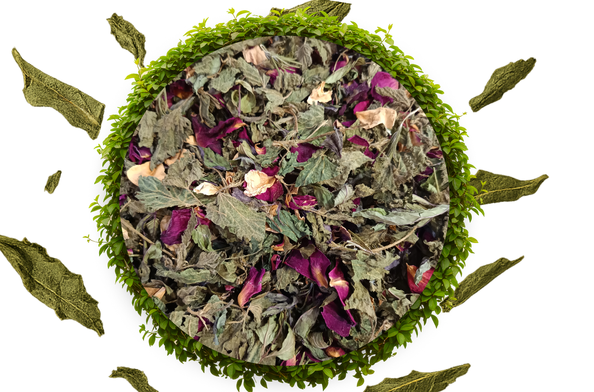 melange de plantes