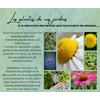 Plantes de nos jardins