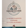 Plantation Petite Rivière