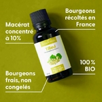 tilleul-macerat-de-bourgeons-bio (1)
