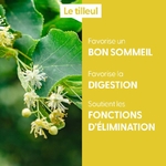 tilleul-macerat-de-bourgeons-bio (2)