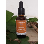GEM33 - Gemmothérapie Bouleau Pubescent 30 ml