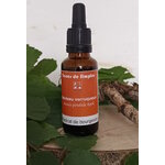 GEM34 - Gemmothérapie Bouleau Verruqueux 30 ml