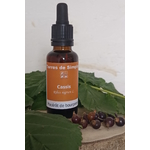 GEM36 - Gemmothérapie Cassis 30 ml