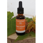GEM42 - Gemmothérapie Erable 30 ml