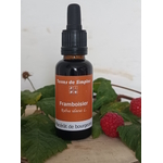 GEM44 - Gemmothérapie Framboisier 30 ml