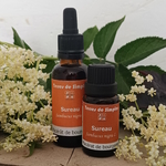 Gemmothérapie Sureau