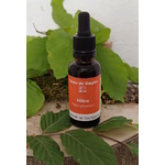 GEM48 - Gemmothérapie Hêtre 30 ml