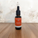 GEM64-01 - Gemmothérapie Pommier 30 ml