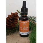 GEM61 - Gemmothérapie Pin Sylvestre 30 ml