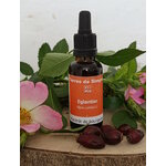 GEM41 - Gemmothérapie Eglantier 30 ml