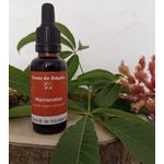 GEM51 - Gemmothérapie Marronnier 30 ml