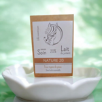ART00000005-03 - Savon Nature 20%