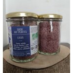 SUC005-01 - Sucre au Cassis