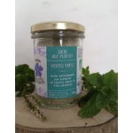 SUC008-04- Sucre Menthe Verte
