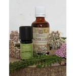 Achillée Millefeuille
