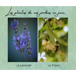 Formation Plantes Juin