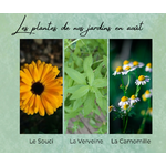 Formation Plantes Août