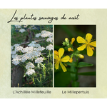 Formation Plantes Août