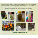 Formation Les Plantes Sauvages en pratique