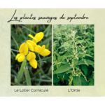 Formation Plantes Septembre