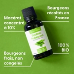 bouleau-pubescent-macerat-de-bourgeons-bio (1)