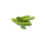 bouleau-pubescent-macerat-de-bourgeons-bio (3)