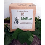 INF12 - Tisane Mélisse Officinale en infusette