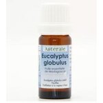 FEG10-02 - HE Eucalyptus globuleux 10 ml