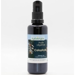 GCI50-02 - HV Calophylle 50 ml