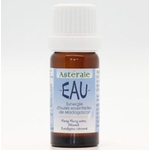 SYE10-02 - Synergie Eau 10 ml