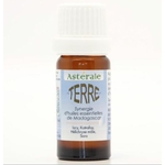 SYT10-02 - Synergie Terre 10 ml