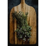 Plante Verte Sur Table En Bois Marron