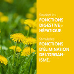 teinture-mere-pissenlit-bio (1)